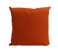 Scatter Cushions - Poly